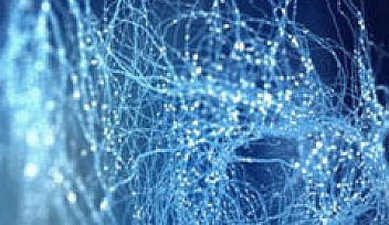 机器学习入门 Scikit-learn实现经典小案例 | 完结无密