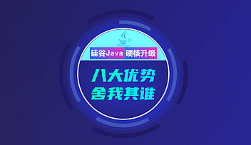 SGG-2021年Java后端、Java高级面授班【完结】