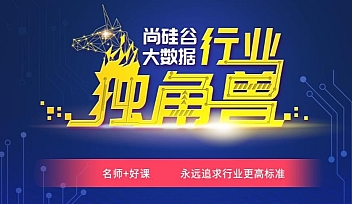 SGG-大数据项目实战提升大神班2021【完结】