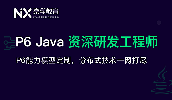 奈学-P6 Java资深研发工程师8期【完结】
