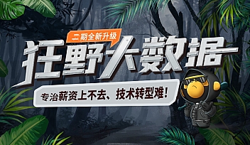 HM-狂野大数据2期【完结】