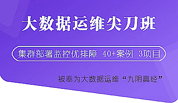 DJT-大数据运维尖刀班二期【完结】