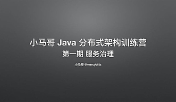 小M哥-Java 训练营 第一期 Java 分布式架构-服务治理【完结】