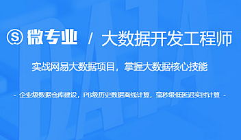 网易云微专业-大数据开发工程师2022【更新】